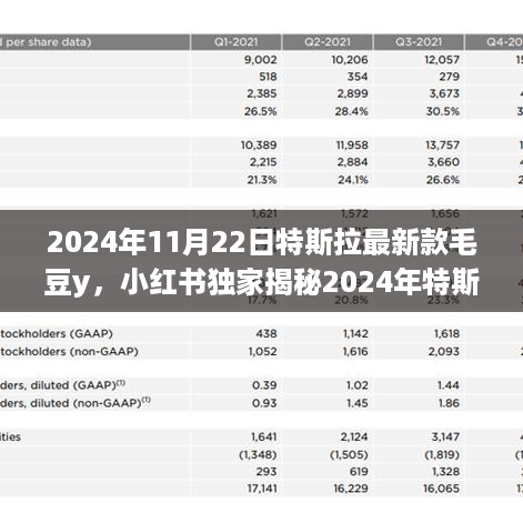 独家揭秘，2024年特斯拉毛豆y震撼发布，颠覆想象！