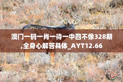 澳门一码一肖一待一中四不像328期,全身心解答具体_AYT12.66