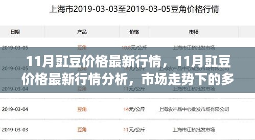 11月豇豆价格最新行情分析与市场走势多元观点探讨