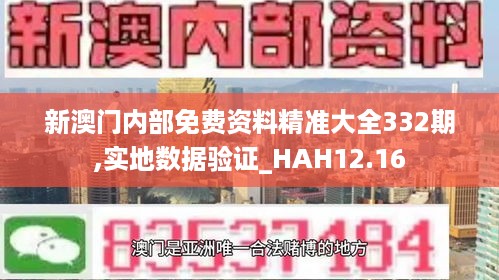 新澳门内部免费资料精准大全332期,实地数据验证_HAH12.16