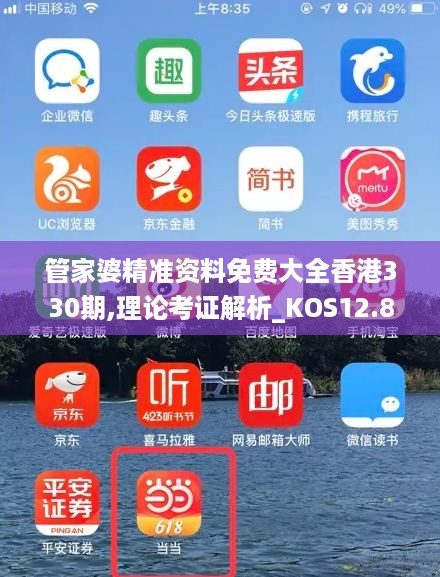 管家婆精准资料免费大全香港330期,理论考证解析_KOS12.80