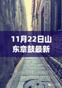 山东章鼓小巷隐藏版特色小店最新故事揭秘，11月22日最新消息速递