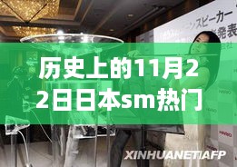 揭秘，历史上的11月22日日本SM热门新品与革命性科技狂欢日