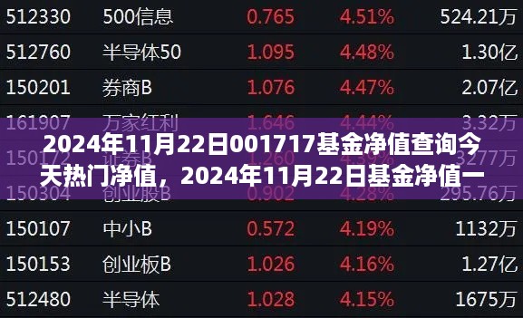 2024年11月22日热门基金净值查询与市场洞察