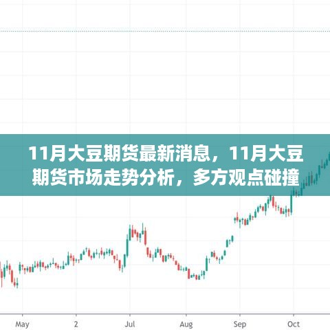 最新消息与分析，11月大豆期货市场走势的多方观点与个人立场阐述