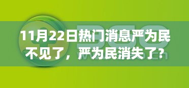 揭秘严为民消失背后的真相，11月22日热门消息引发关注热议