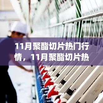 11月聚酯切片行情深度解析，热门趋势与评测介绍