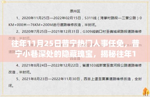 普宁人事任免揭秘，小巷深处的隐藏瑰宝与往年人事任免背后的故事（11月25日）