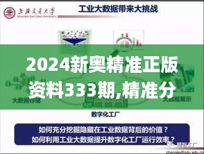 2024新奥精准正版资料333期,精准分析实践_体验版YDX11.77