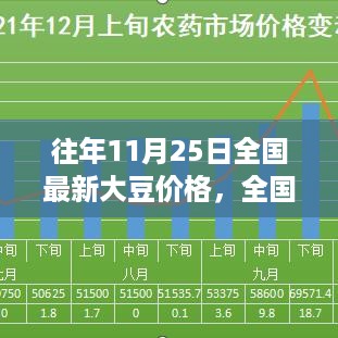 全国最新大豆价格走势分析与观点阐述，历年11月25日数据回顾与展望