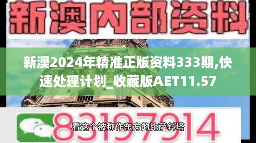 新澳2024年精准正版资料333期,快速处理计划_收藏版AET11.57