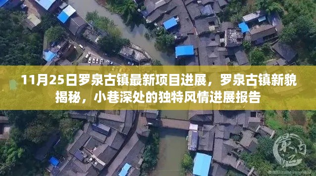 罗泉古镇最新项目进展与小巷深处的独特风情揭秘报告（新貌探秘）