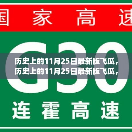 历史上的11月25日最新版飞瓜，全面评测与深度介绍