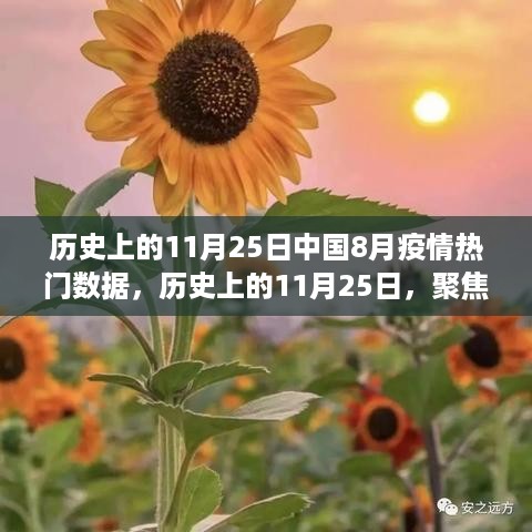 历史上的11月25日聚焦中国八月疫情热门数据三大要点解析