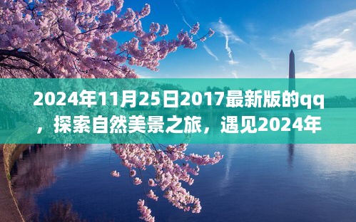 探索自然美景之旅，遇见全新版QQ的宁静力量（2024年最新版）