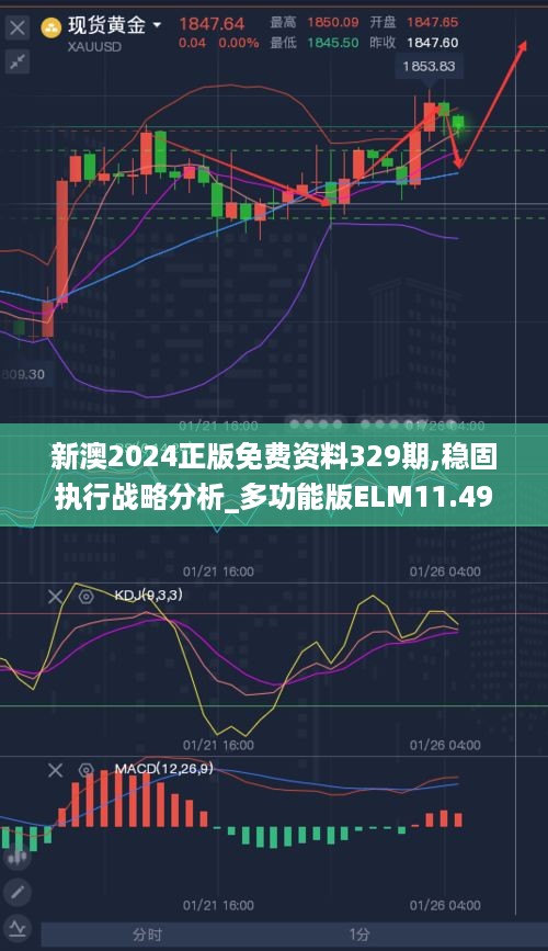 新澳2024正版免费资料329期,稳固执行战略分析_多功能版ELM11.49