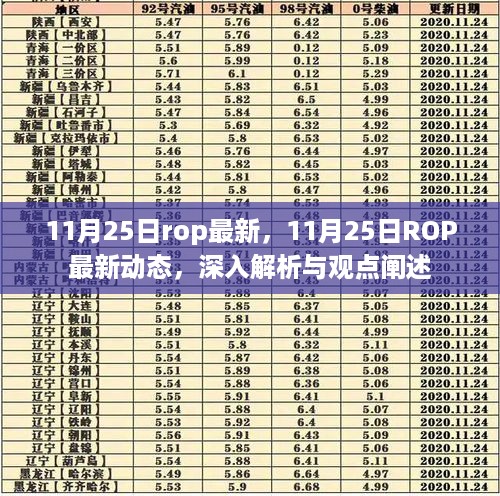 11月25日ROP最新动态解析与观点阐述