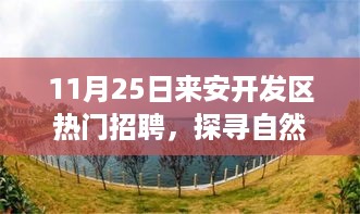 来安开发区热门招聘，探寻自然美景之旅，远离尘嚣的招聘之旅启幕