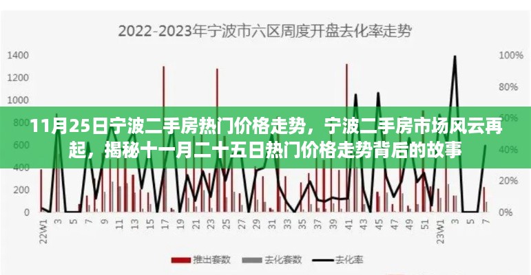 揭秘宁波二手房市场风云再起，热门价格走势背后的故事（十一月二十五日）