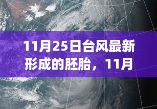 最新台风胚胎形成动态及影响分析（11月25日更新）