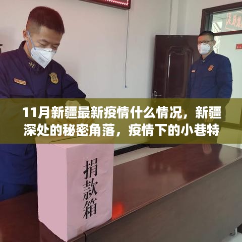 新疆11月疫情最新动态，秘密角落与小巷特色小店的探秘之旅