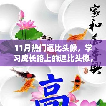 11月热门逗比头像，学习路上的魔法石与自信成就感的碰撞