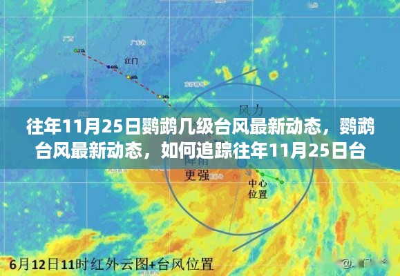 往年11月25日鹦鹉台风最新动态及防御技能追踪指南