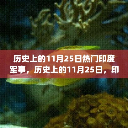 历史上的11月25日，印度军事的重要时刻回顾