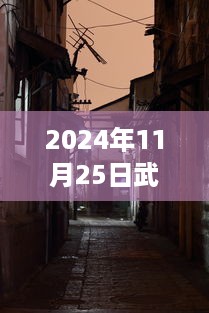 探秘武汉小巷隐世之宝，最新逸景下的独特风味小店（2024年11月25日）