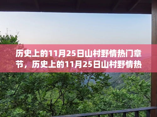 历史上的11月25日山村野情热门章节全解析，从入门到精通的探秘攻略