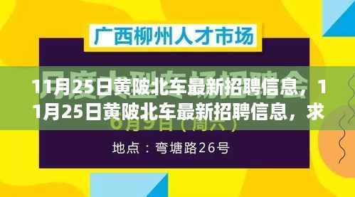 11月25日黄陂北车最新招聘信息及求职全攻略，轻松掌握求职技能