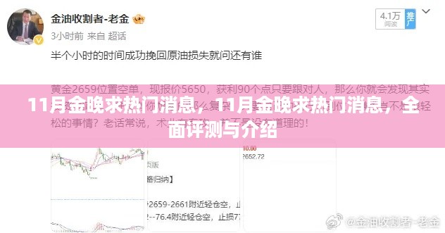 揭秘热门消息，全面评测与介绍 11月金晚求资讯速递