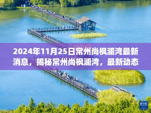 揭秘常州尚枫澜湾，最新动态速递，2024年11月25日的惊喜揭晓