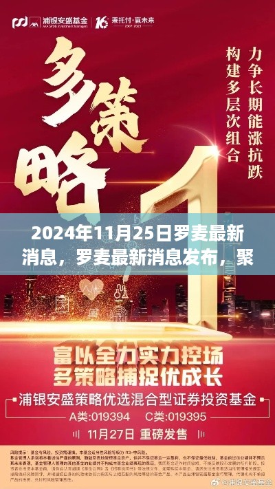 2024年11月25日罗麦最新消息发布，解读未来动向