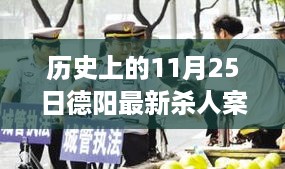 历史上的德阳杀人案深度解析与观点阐述，11月25日最新案件回顾