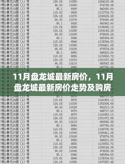 11月盘龙城房价最新动态，走势分析与购房指南