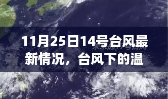 台风下的温馨日常，共渡风雨时光——11月25日14号台风最新情报