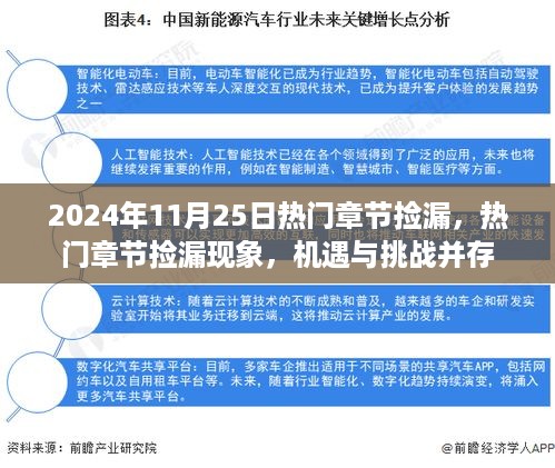 热门章节捡漏现象，机遇与挑战并存（2024年11月25日）