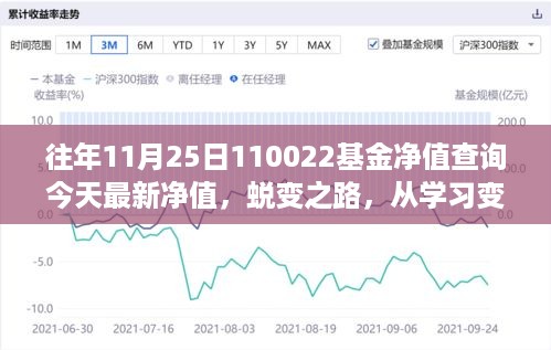 蜕变之路，与110022基金共成长，最新净值今日查询