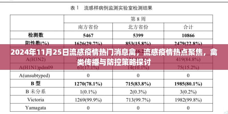 禽流感疫情热点聚焦，传播与防控策略探讨