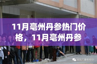 11月亳州丹参价格动态，变化中的学习，自信与成就感的源泉