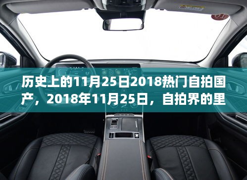 热门国产自拍软件的历史回顾，回顾2018年11月25日的里程碑事件