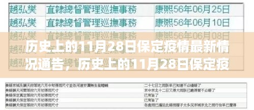 历史上的11月28日保定疫情最新情况深度解析与案例探究，最新通告与通告深度分析