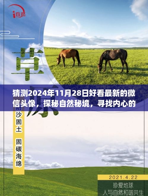 探秘自然秘境，寻找内心平和，揭秘最新炫目微信头像之旅（2024年精选）