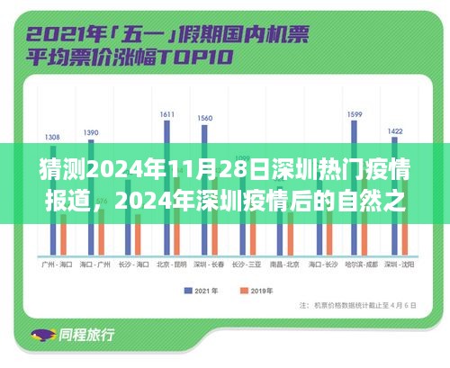 2024深圳疫情后的自然之旅，寻找内心的宁静与美景奇遇的启示