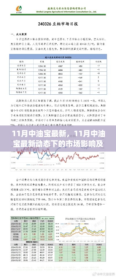 11月中油宝最新动态，市场影响及前景展望