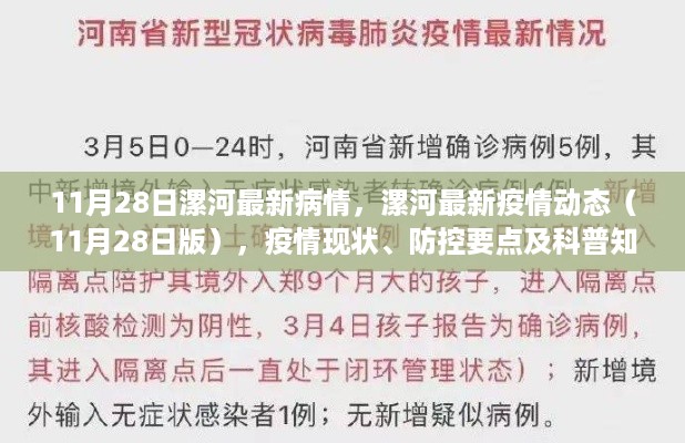 漯河疫情最新动态（11月28日版），疫情现状、防控要点与科普知识详解