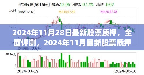 最新股票质押产品介绍与全面分析（2024年11月版）