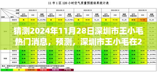 深圳市王小毛在2024年11月28日的热门消息展望与预测