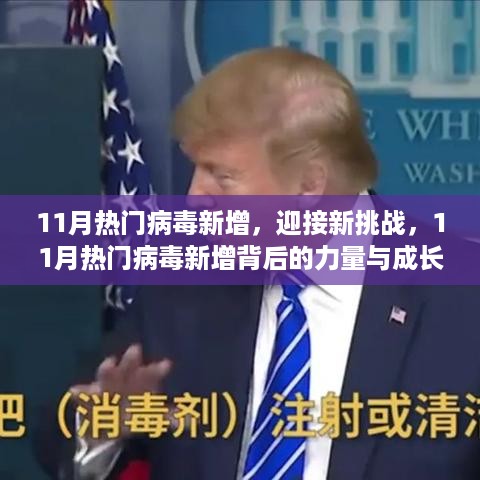 揭秘新挑战，揭秘病毒背后的力量与成长奇迹，迎接新一波病毒增长期